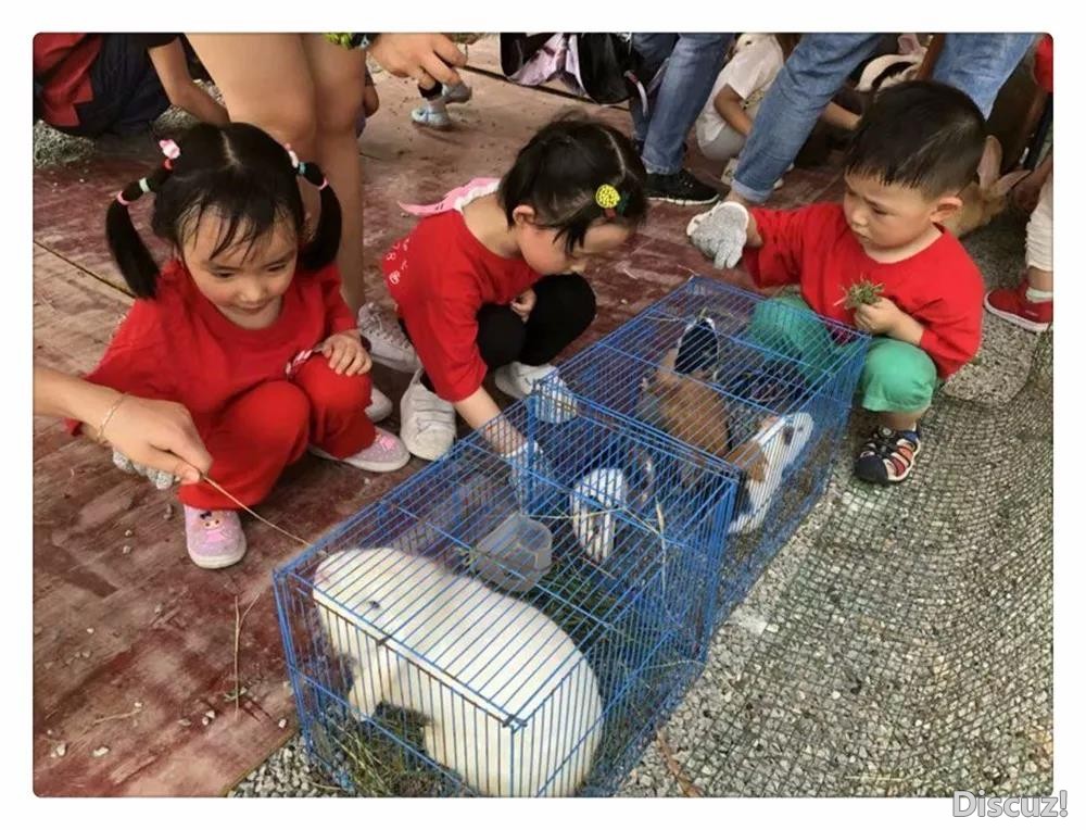 自然4.jpg