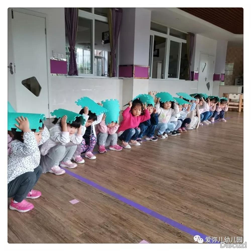 场地1.jpg