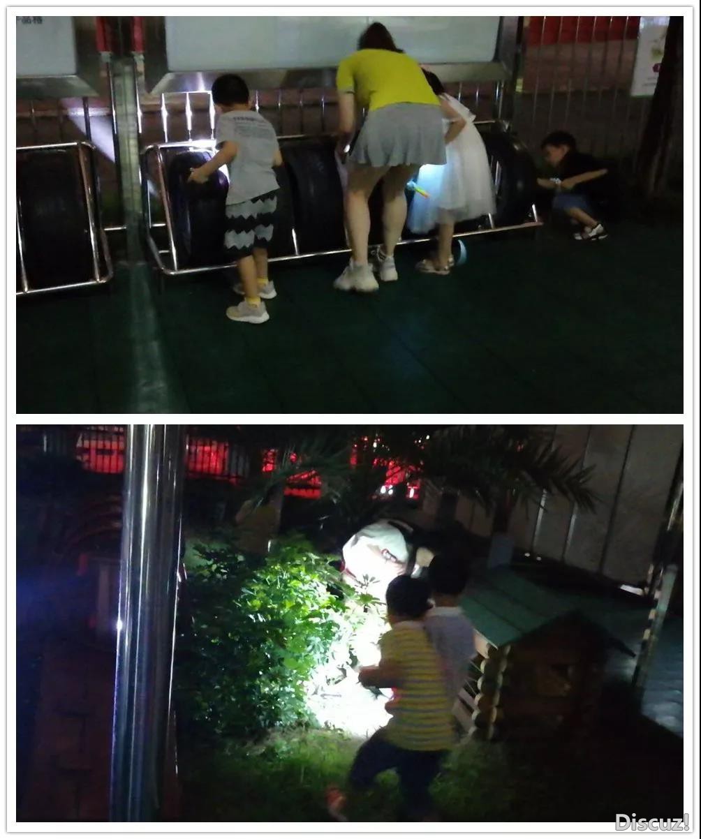 宝藏2.jpg