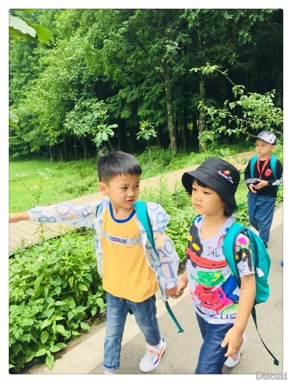 草地2.jpg