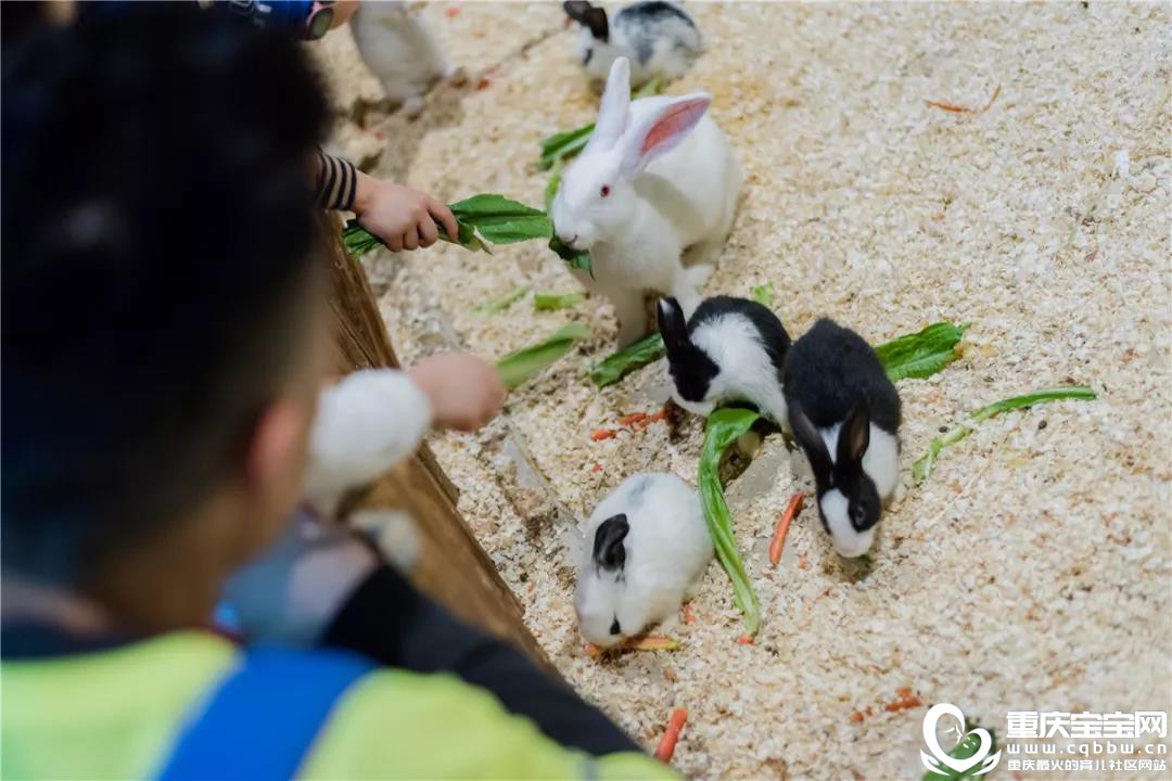 微信图片_20191127163942.jpg