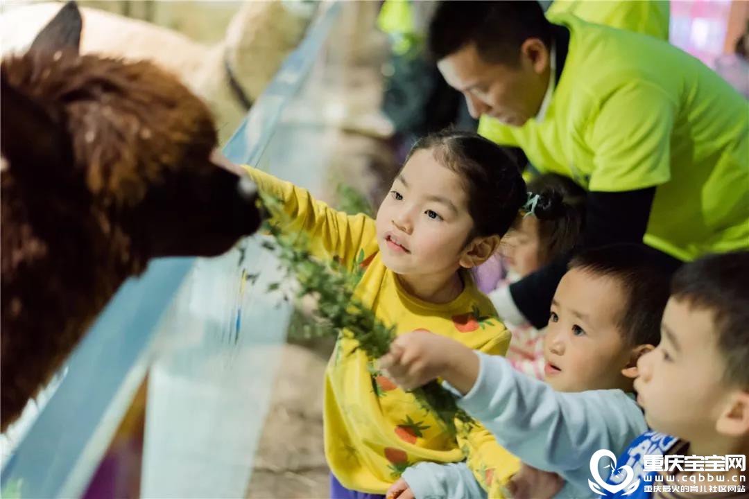 微信图片_20191127163950.jpg