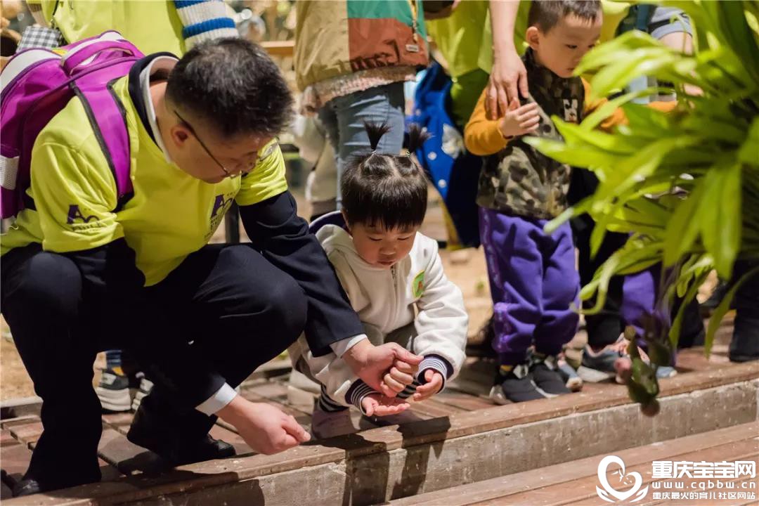 微信图片_20191127163954.jpg