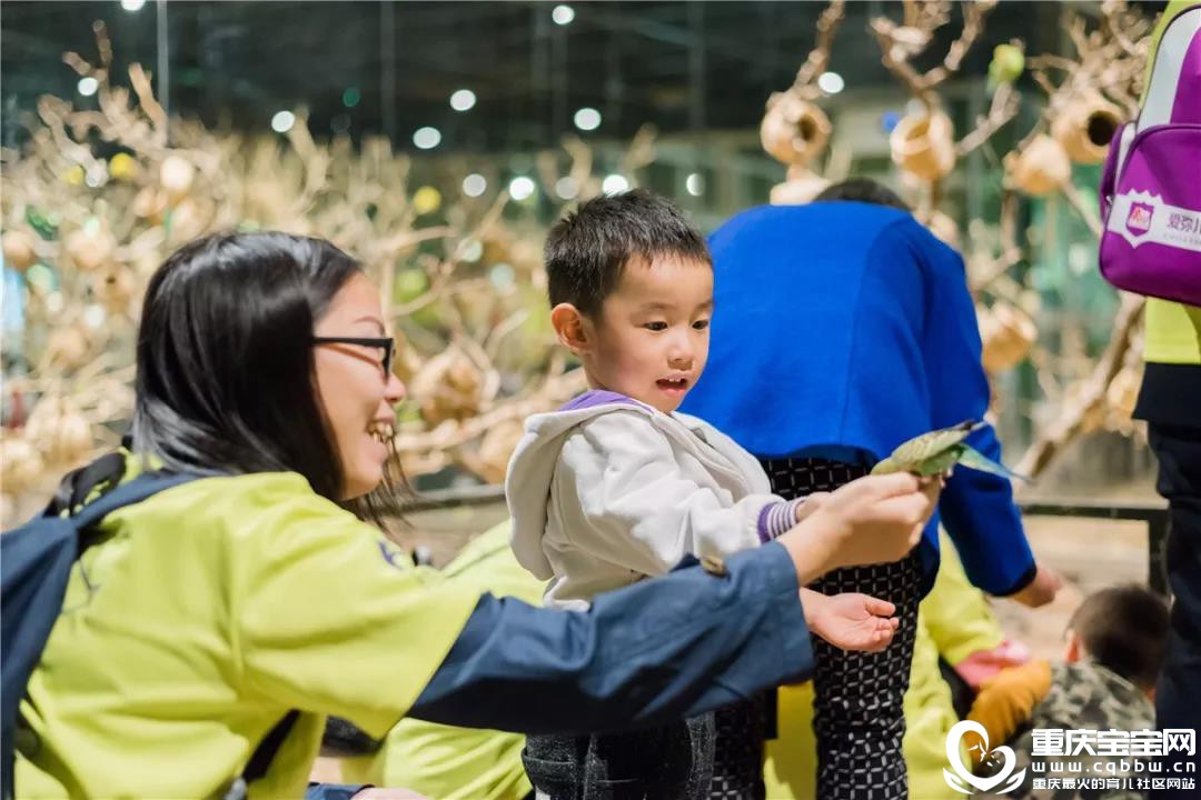 微信图片_20191127164001.jpg
