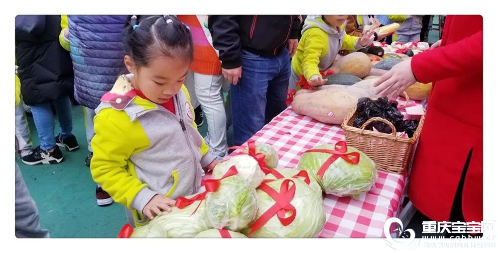 生命4.jpg
