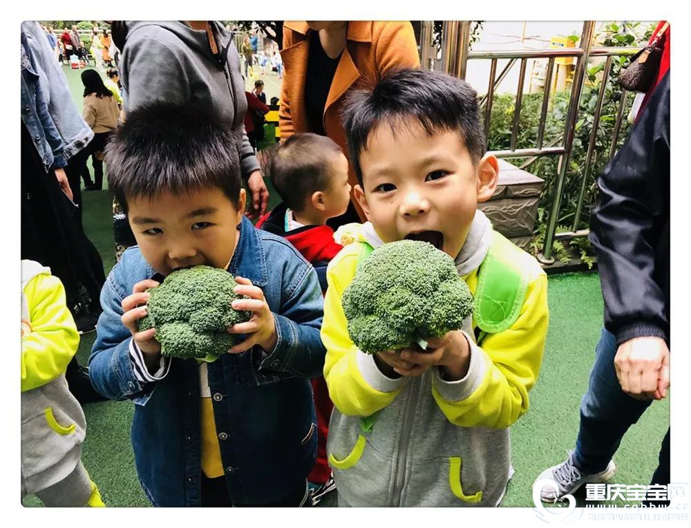 微信图片_20191129165903.jpg