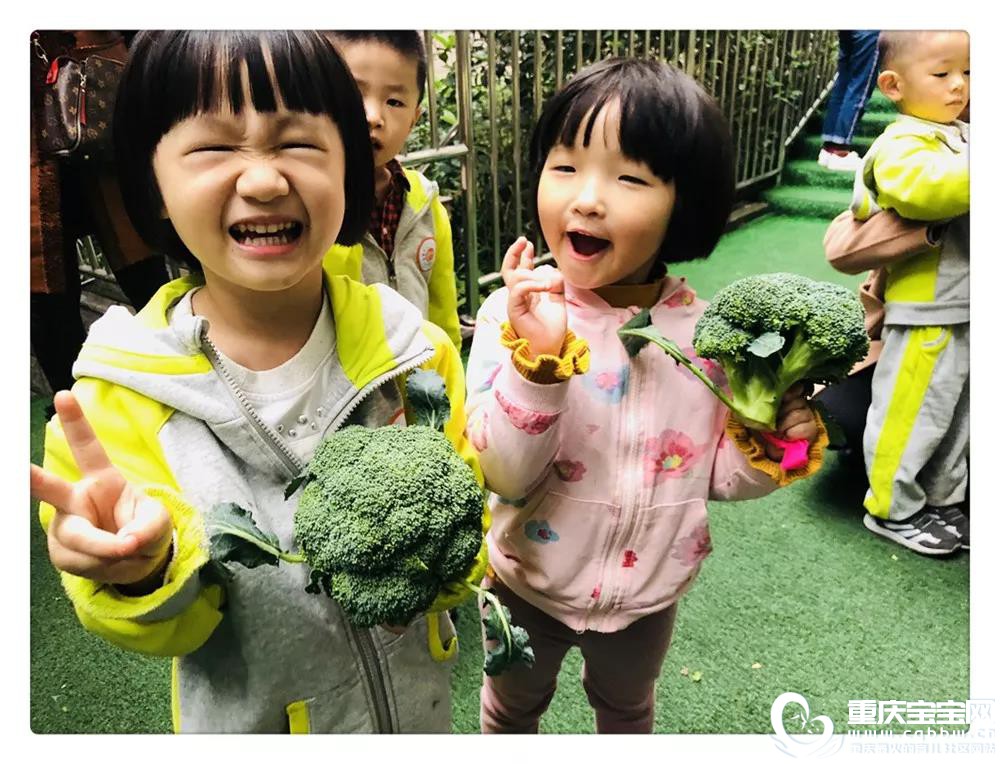 微信图片_20191129165907.jpg