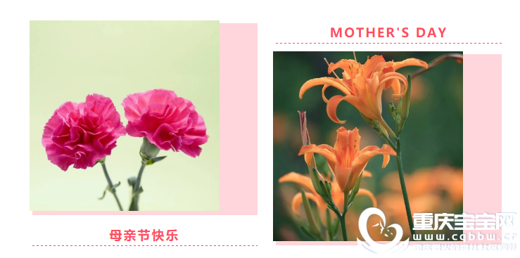 QQ浏览器截图20200514114247.png