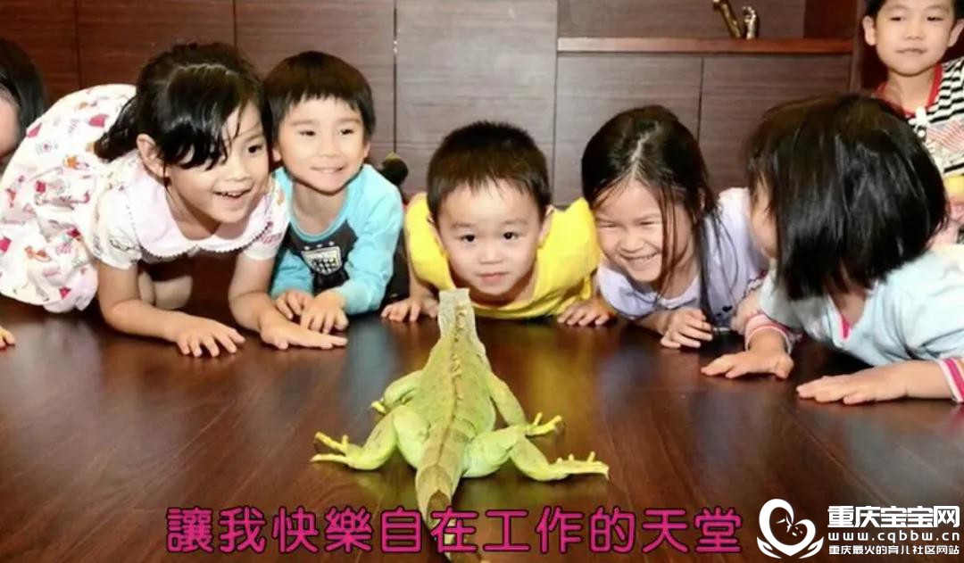 微信图片_20200810111643.jpg