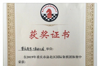 喜报:祝贺早慧三色合作园幼儿在2019年国际象棋比赛中喜获佳绩