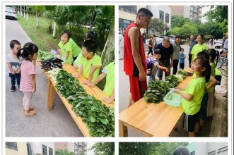 爱弥儿重庆大学分园"蔬菜小卖手"实践活动 体验不一样的乐趣