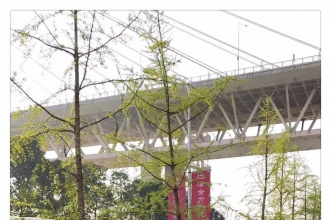 爱弥儿东江美景分园迎来海洋科普之旅