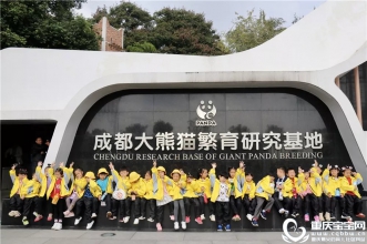 【早慧研学·巴蜀文化之旅】第三站之参观熊猫基地