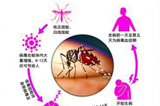 预防小贴士 | 早慧渝安龙都园夏季传染病温馨提示