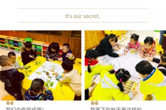 早慧渝安龙都园"金色秋天"主题活动 秋意正浓