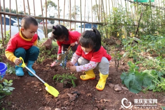 春暖花开，种植未来 | 早慧松龙园植树节主题活动