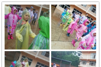 【上朗•新尚城幼儿园】走进森林学校，探寻奇妙的大自然