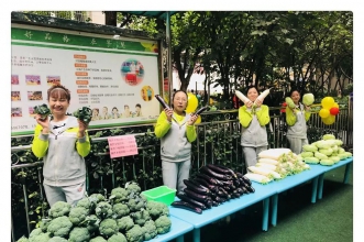 【我运动·我健康·我快乐】早慧渝安龙都园蔬菜亲子运动会 体验不一样的乐趣