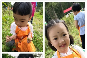 早慧教育集团"奇幻森林之旅"夏令营完美收官 见证孩子们的成长与蜕变！