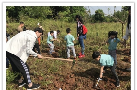 【上朗·水沐芳华森林学校】"奇妙的大自然我们来了"系列活动精彩纷呈