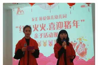 爱弥儿龙汇苑分园红红火火喜迎猪年 欢欢喜喜贺新春