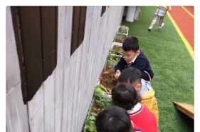 【上朗·海棠AIE国际幼儿园】孩子们的菜市开业啦！