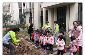 早慧松龙园的孩子们在植物角播下种子和希望